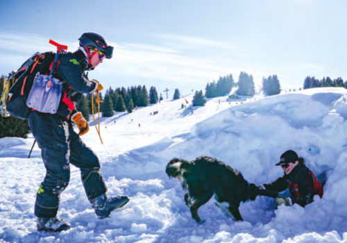 Luge d'été Les Saisies